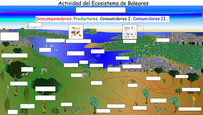 Actividad del Ecosistema de Islas Baleares