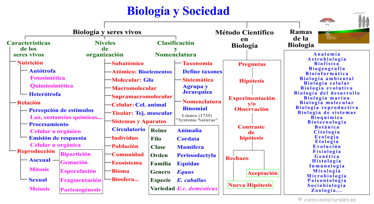 Biología y Sociedad