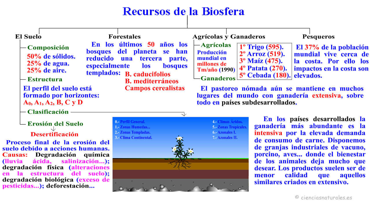 Recursos de la Biosfera