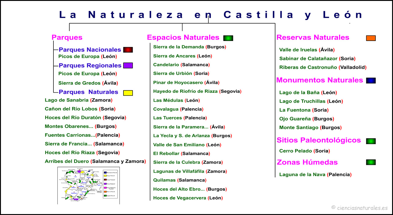 La Naturaleza en Castilla y León