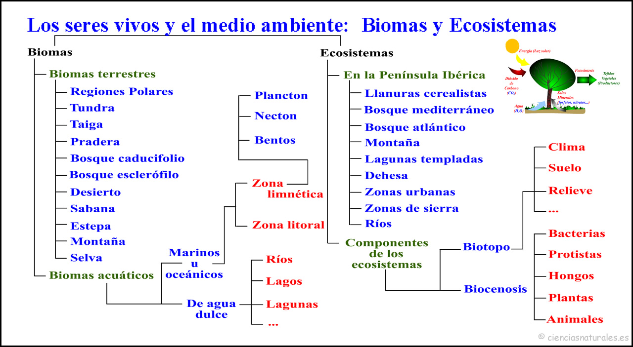 Eccosistemas y Biomas