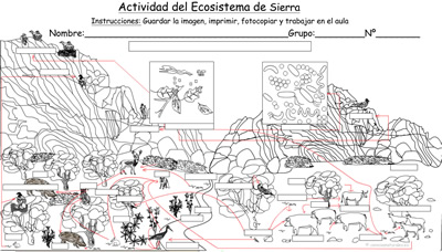 Actividad del Ecosistema de Sierras