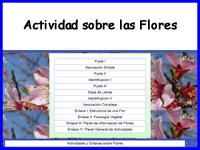 Actividades sobre Flores
