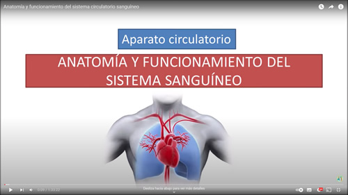 Pulse para estudiar la anatomía y funcionamiento del aparato circulatorio